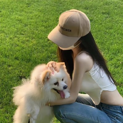智叻狗仔队